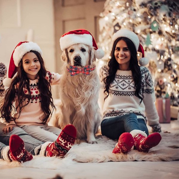 Julhalsband, hundhalsbandspresent för små medelstora hundar, katter .c