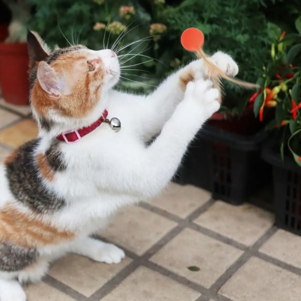 Mub- Selskapsdjur morsom katt studsball kattunge kattunge knirkende tenner avstuffing leketøy ball pink