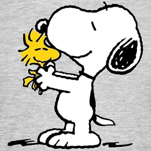 Fzggvpeanuts Snoopy og Woodstock T-skjorte for menn Heather Grey M