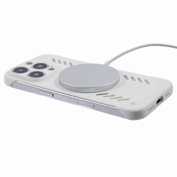 Hårdt PC-etui uden ramme med varmeafledning til iPhone 16 Pro Max Multicolor Style A