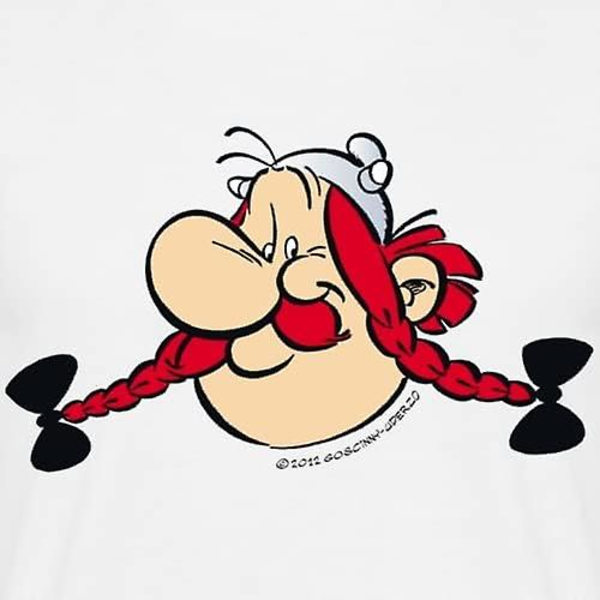 Asterix ja Obelix -muotokuva miesten T-paita White L