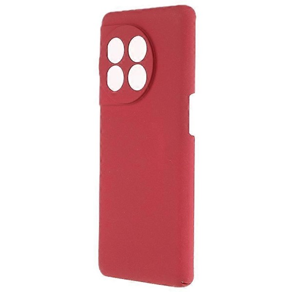 Mat Telefoncover til OnePlus 11 5G, Faldbestandigt Hårdt PC Beskyttelsescover Multicolor Style B