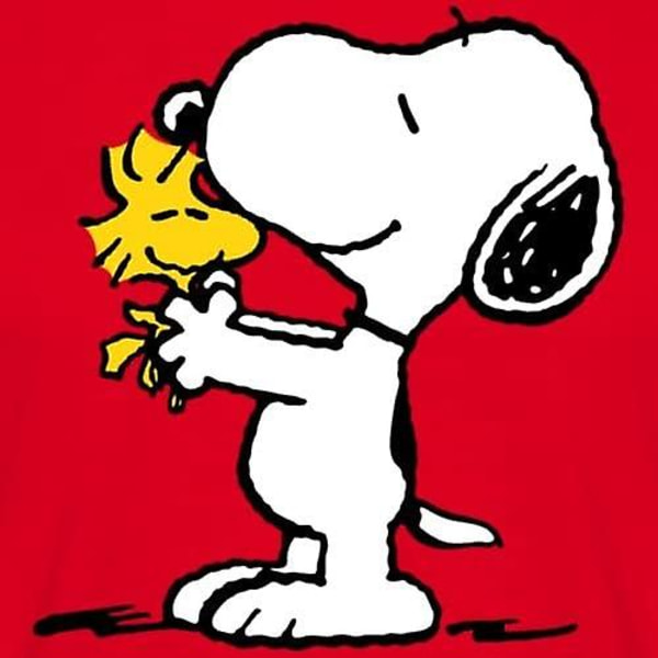 Fzggvpeanuts Snoopy ja Woodstock miesten t-paita Red M