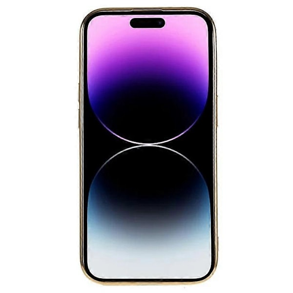 iPhone 12 Pro Max 6,7 tuuman magneettikotelo WANLONFENG galvanoidulla TPU-suojakuorella ja linssisuojalla + 2 kpl Multicolor Gold