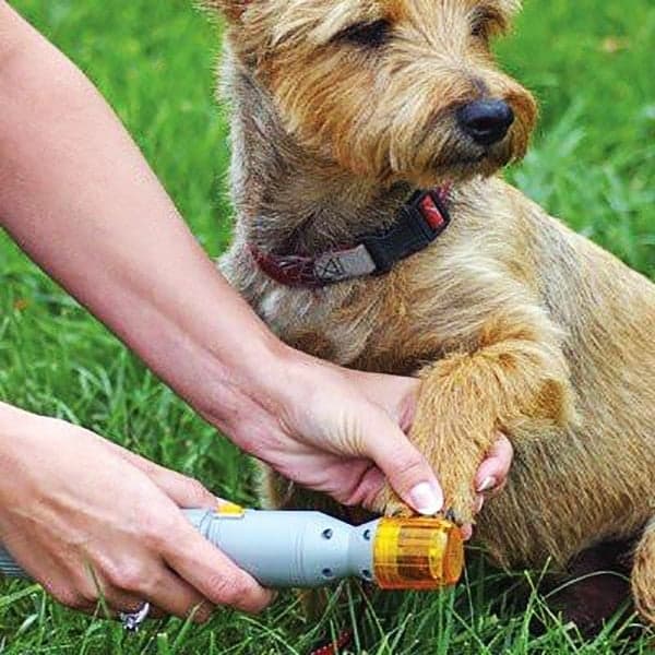 Elektrisk negleklipper til hunde og katte (og andre dyr)