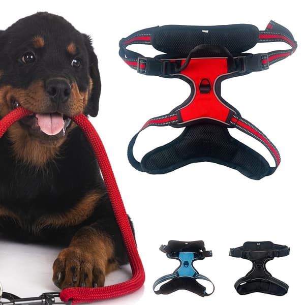 Bløt Hundesele m/refleks – robust & vannfast – rød, sort eller blå Red L