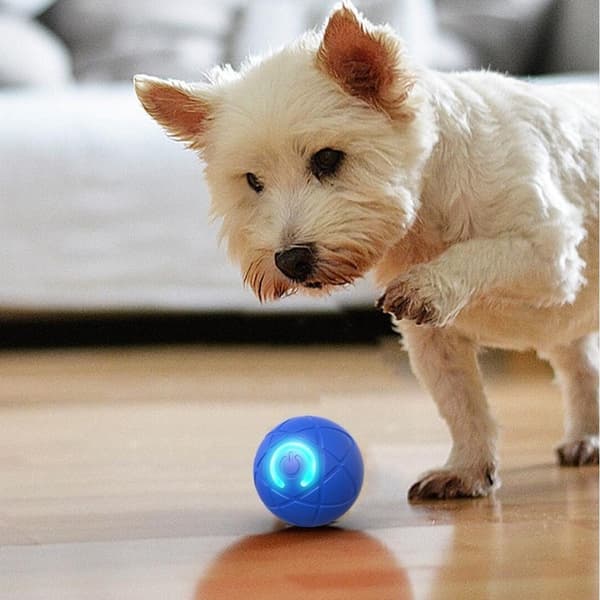 Interaktiv Automatisk Ball for Hunder og Katter Orange