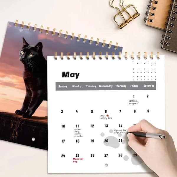 2026 Kattekalender For Katteelskere Morsom Kattekalender A