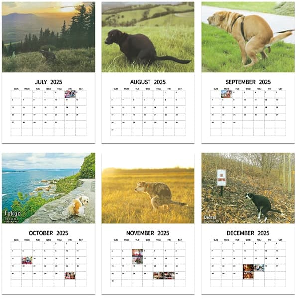 Väggkalender 2025 - Hundbajskalender Månadskalender A