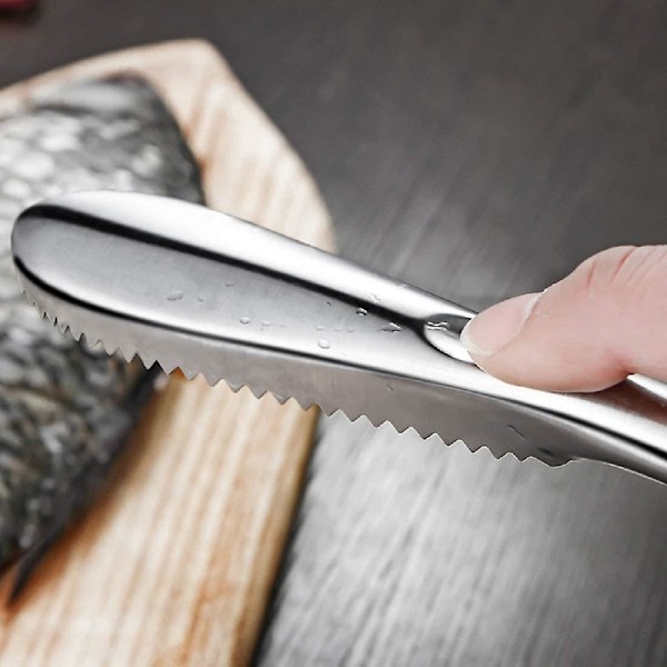 Fiskskrapa, Fiskskrapa i rostfritt stål Rengöringsborste Enkelt verktyg för att ta bort fiskfjäll