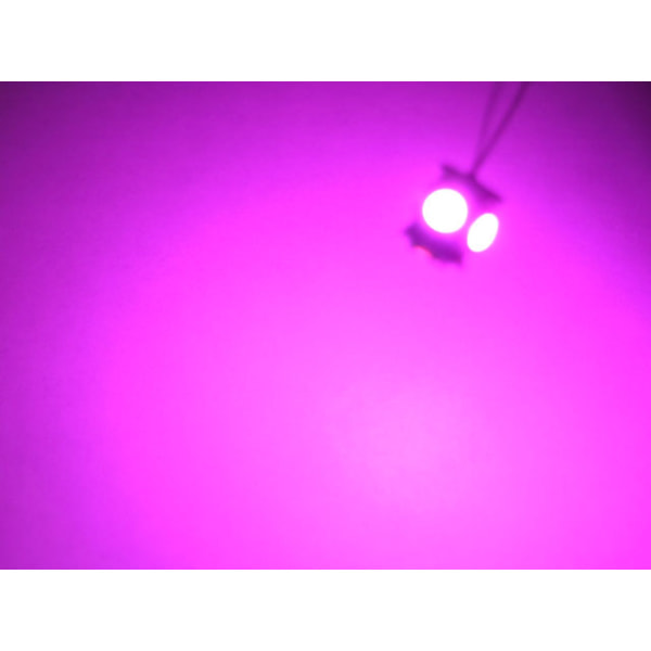 T10 w5w Rosa LED med 5st 5050SMD chip 12v DC 4-pack Rosa / Rosa 4-pack Pink / Rosa 4-pack