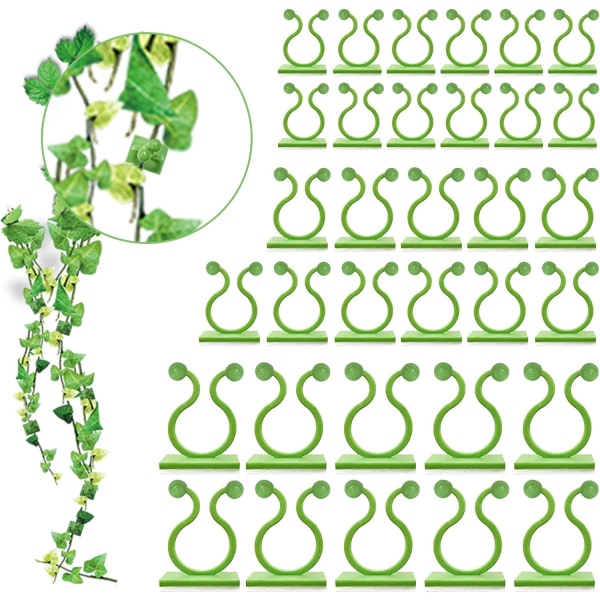 100 ST Växtstöd Vägg Vine Plant Klätterfixer Självhäftande krok Vines Hållare Osynlig dragvägg Sticky Fixture Clips (100 clips grön)