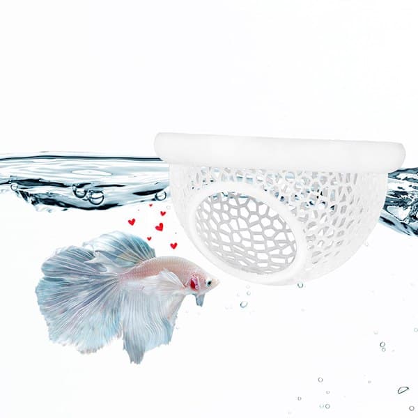 Kelluva Betta Piilopaikka & Katkarapuluola Sininen Blue