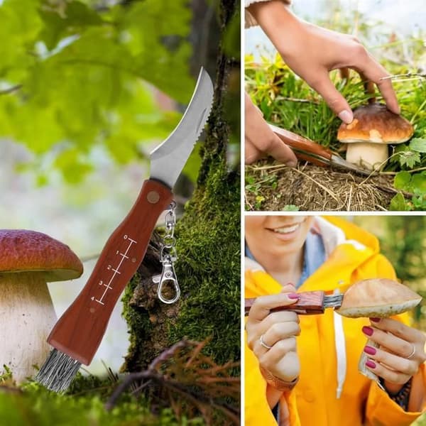 Svampplockningskit, svampväska och svampkniv med borste, väska för svampplockning