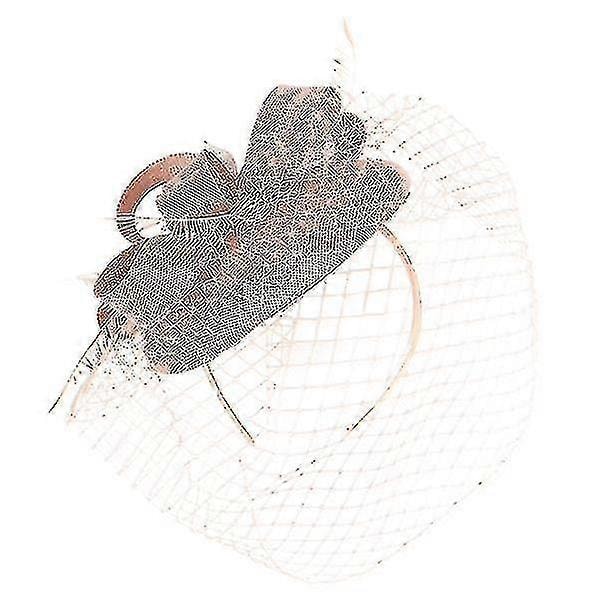 Dame Fascinator Hatt Teselskap Hatt Mesh Slør Fascinator Hodebånd Bankett Hodeplagg-ZZY Pink