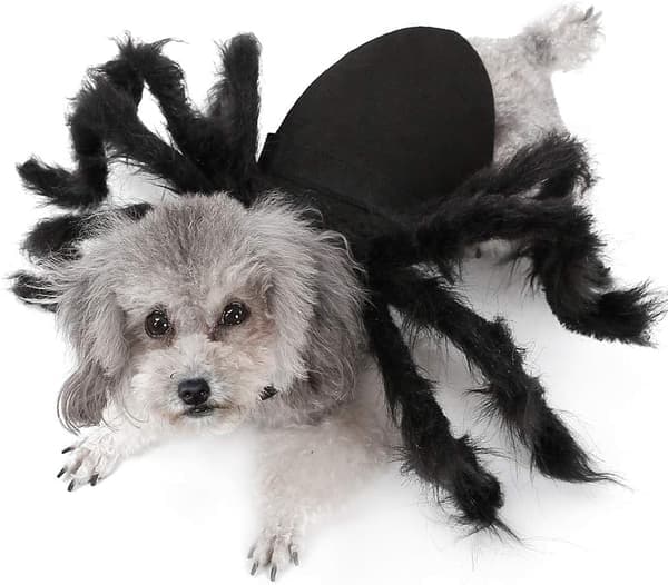 Kæledyrstøj, Cosplay Edderkoppekostume Kat Hund Rolleleg Udklædning