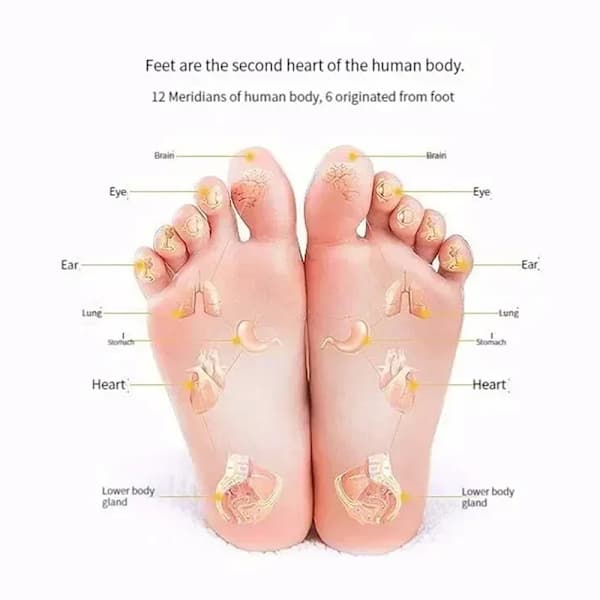 Fodmassage Mad Reflekszoneterapi Gåstensti Fodmassage Akupo A2 A2