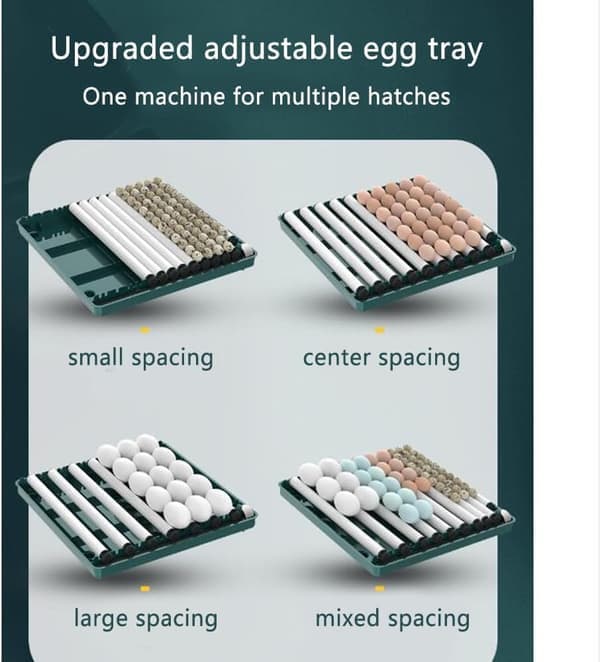 Automatisk egginkubator, i stand til å klekke 12 til 15 egg, med effektiv LED-belysning, automatisk eggvending og fuktighetskontroll.