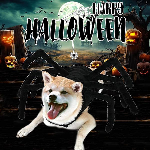 Halloween Edderkopp Hundekostyme for Hunder og Katter M