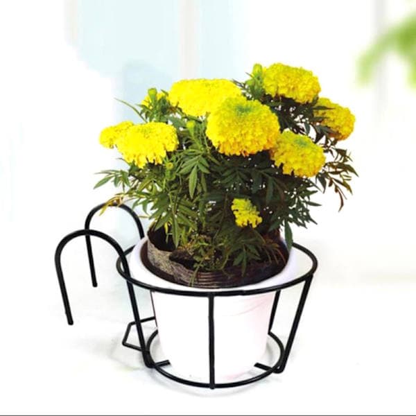 Hængende jernstativ til haven Balkon Rund blomsterpottestativ Railin Sort onesize Black