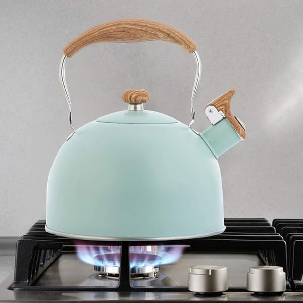 Fløytekjele, 2,5L fløytekjele, gasskomfyr induksjonskomfyr rustfritt stål kjele Light green
