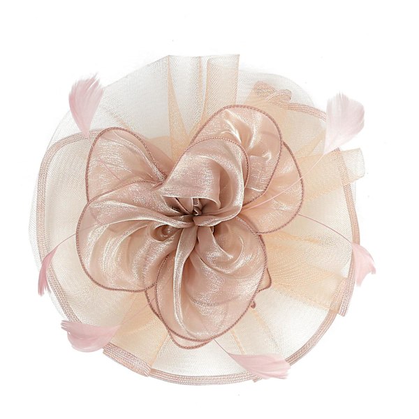 Fascinator Hatt Blomst Mesh Bånd Fjær på Hårbøyle og Klemme Teselskap Hodeplagg for Jenter og Kvinner Pink