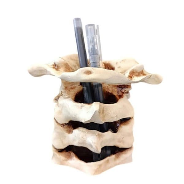 Kallon Luut Kynä Kotelo Meikkisivellin Pidike Pöytä A