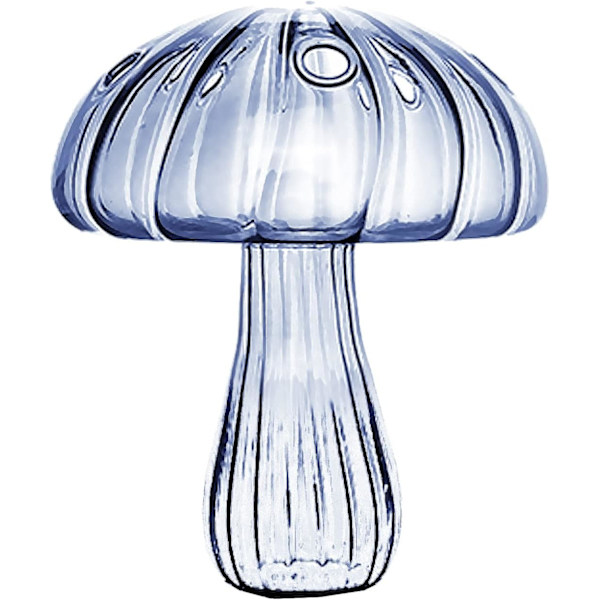 1 stk soppglassvase Kreativ sopp Blomster Vase Plantere Hydroponisk beholder Vas for planter Hjem Sovesal Hagedekor