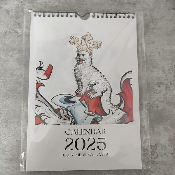 2025 Wacky Middelalder Katte Maleri Kalender Julegave