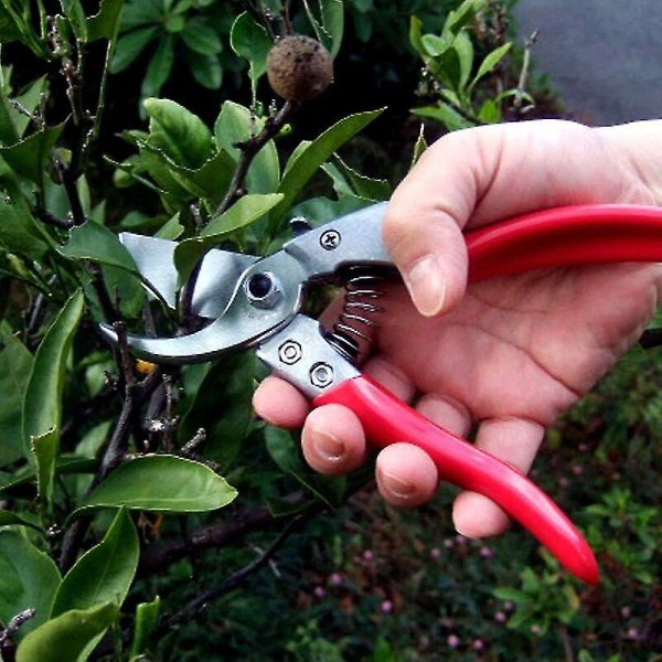 Vs-8z, Secateurs, Ars-vs-8xz