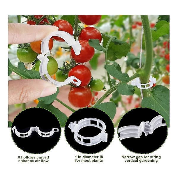 40 tomatkrokar med rep, tomatstödskrokar, tomatfixeringskrokar och växtstödsklämmor Silvervit Silver  white