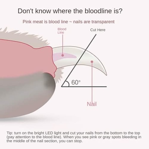 Koiranpennun kynsileikkurit ja -trimmerit valoilla, joilla vältetään pieneläinten kynsileikkureiden liiallinen leikkaaminen