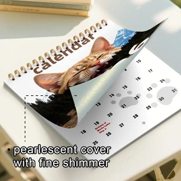 2026 Kattekalender For Katteelskere Morsom Kattekalender A