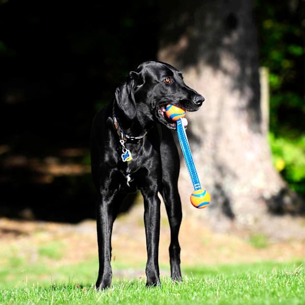 Kasta bort det! Ultra Tug Hund Leksak Dragkamp Interaktiv Hund Leksak med Gummikula Duo, Medium