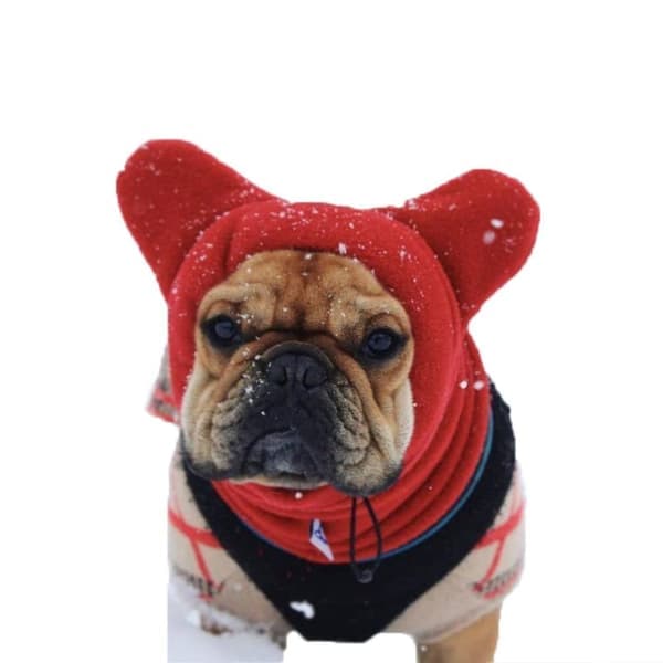 Varme Vinter Hundehuer Hundefleece Flagermushue SORT M sort M