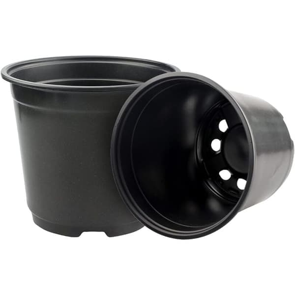 50-pack 15 cm svarta plastkrukor för suckulenter, grönsaker och sticklingar KLB