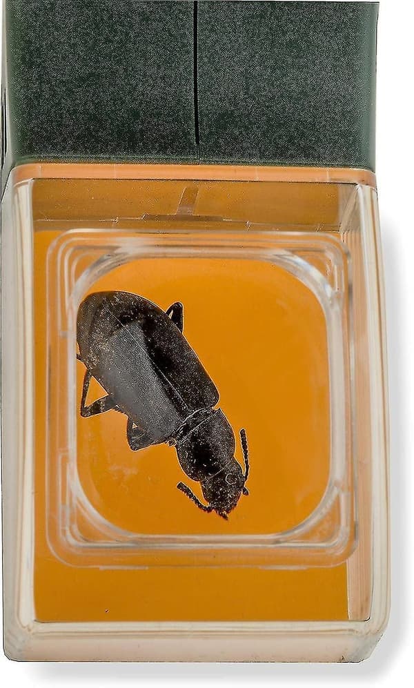 Hu-10 Bugview hyönteissieppari sisäänrakennetulla suurennuslasilla, vihreä