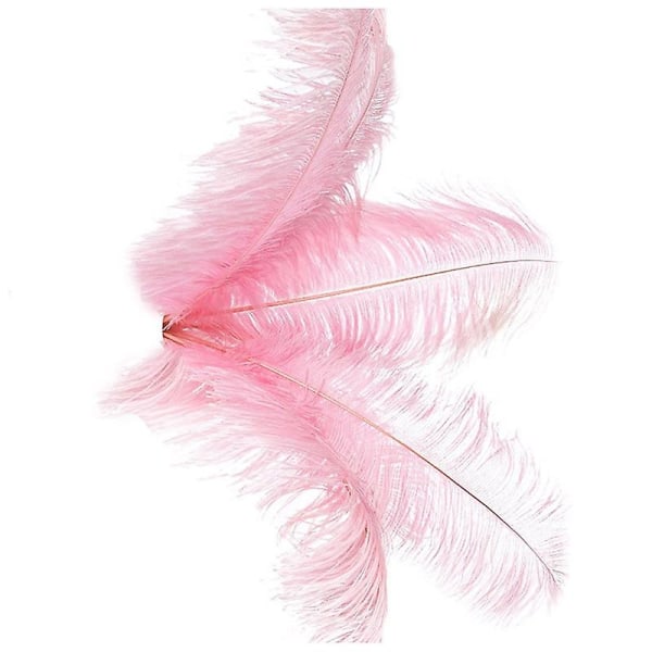 10 kpl Natural Strutsin höyhenet Hääjuhlakoristeet Pinkki 20-25cm Pink