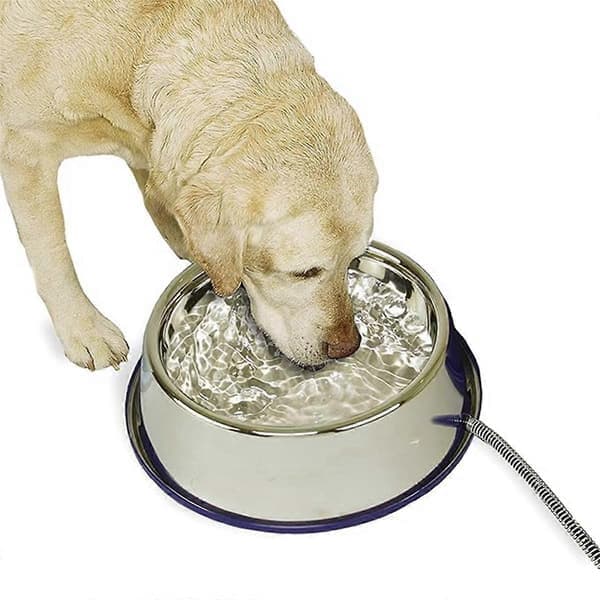 Varmeisoleret skål til kæledyr, udendørs opvarmet vandskål i rustfrit stål til hunde, kyllinger osv., EU-stik