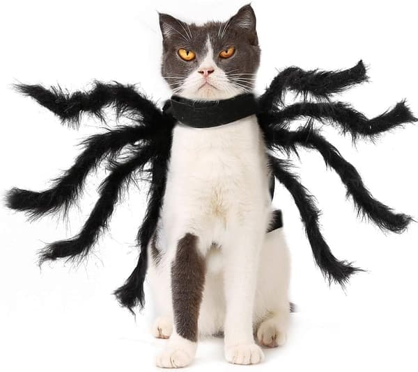 Husdjurskläder, Cosplay Spindelkostym Katt Hund Rollspel Klä Upp