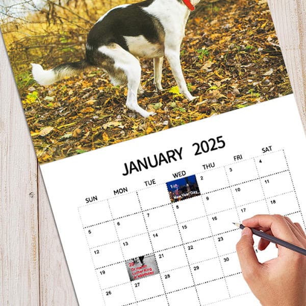 2025 Veggkalender - Hundebæsj Kalender Månedlig Kalenderplanlegger A