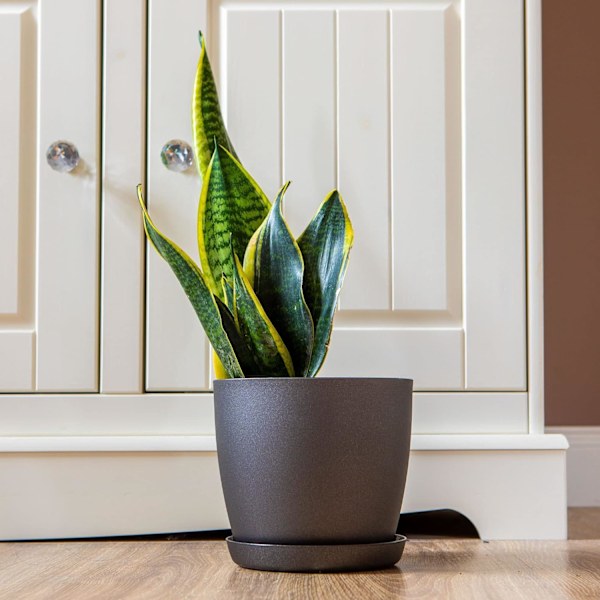 Vita trädgårdsprydnader vita krukor med fat – Blomkrukor utomhus med matt yta och växtbricka – Krukor med fat Black 14cm*12.5cm*10cm