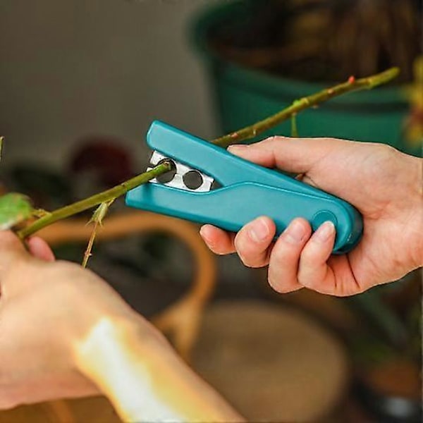 Blomst Tornefjerner Rustfrit Stål Høj Styrke Arbejdsbesparende Bærbar Elastisk Fjernelse af Grater Skarp Buket Have Gren Torneklipper Blomsterhandler Værktøj green