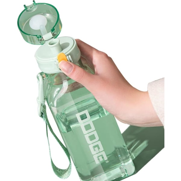Sports vannflaske 700ml, lekkasjesikker drikkeflaske, treningsvannflaske, vannflaske for reisepiknikcampingtur green