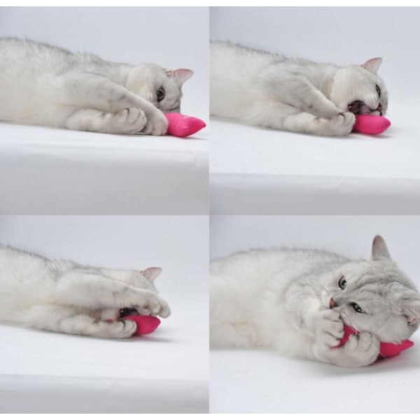 5 stk katteurt-legetøj, kattetyggetøj, bidfast katteurt-legetøj til katte, katteurt-fyldte tegneseriemus Kattebitter tyggelegetøj