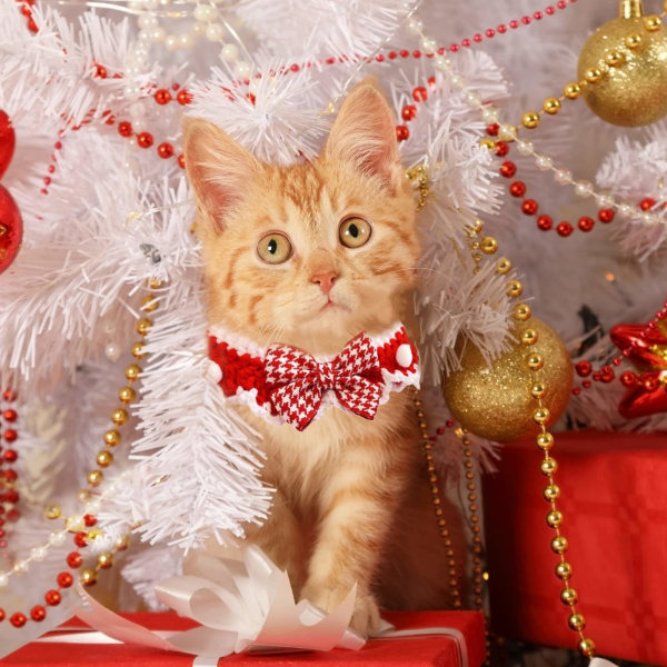 Handstickat djurhalsband, 1 st Kattvalp Julkrage i ullstil med rutig fluga Justerbar krage för katt och valp, röd och vit