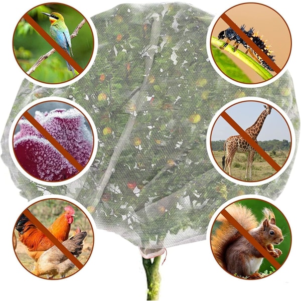 Insektnät med dragkedja, insektsnät för trädgård, växtskyddsnät för att skydda växter, frukter och blommor från insekter och fåglar (250 x 250 cm) 250×250cm