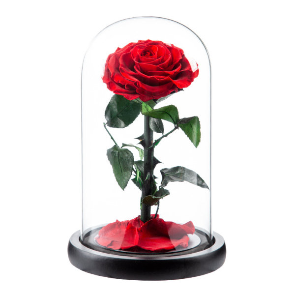 Beauty and the Beast Rose Kit, Forever Rose in the Glass, Romantiska födelsedagspresenter till flickvän