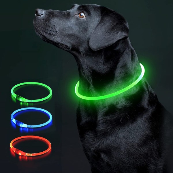 Vattentåligt LED-halsband för hund med reflekterande ljus | Glow in The Dark LED-hundhalsband för ökad säkerhet och synlighet (50 cm)