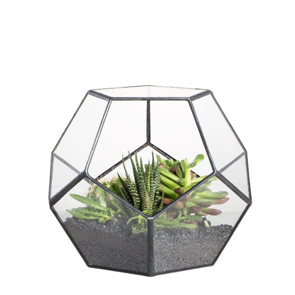 15 cm liten glass geometrisk terrarieplantekasse, håndlaget hagebordplate femkantet blomsterpotte for sukkulent kaktusbregnemose (ingen planter inkludert)